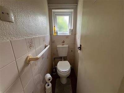 Picture 19